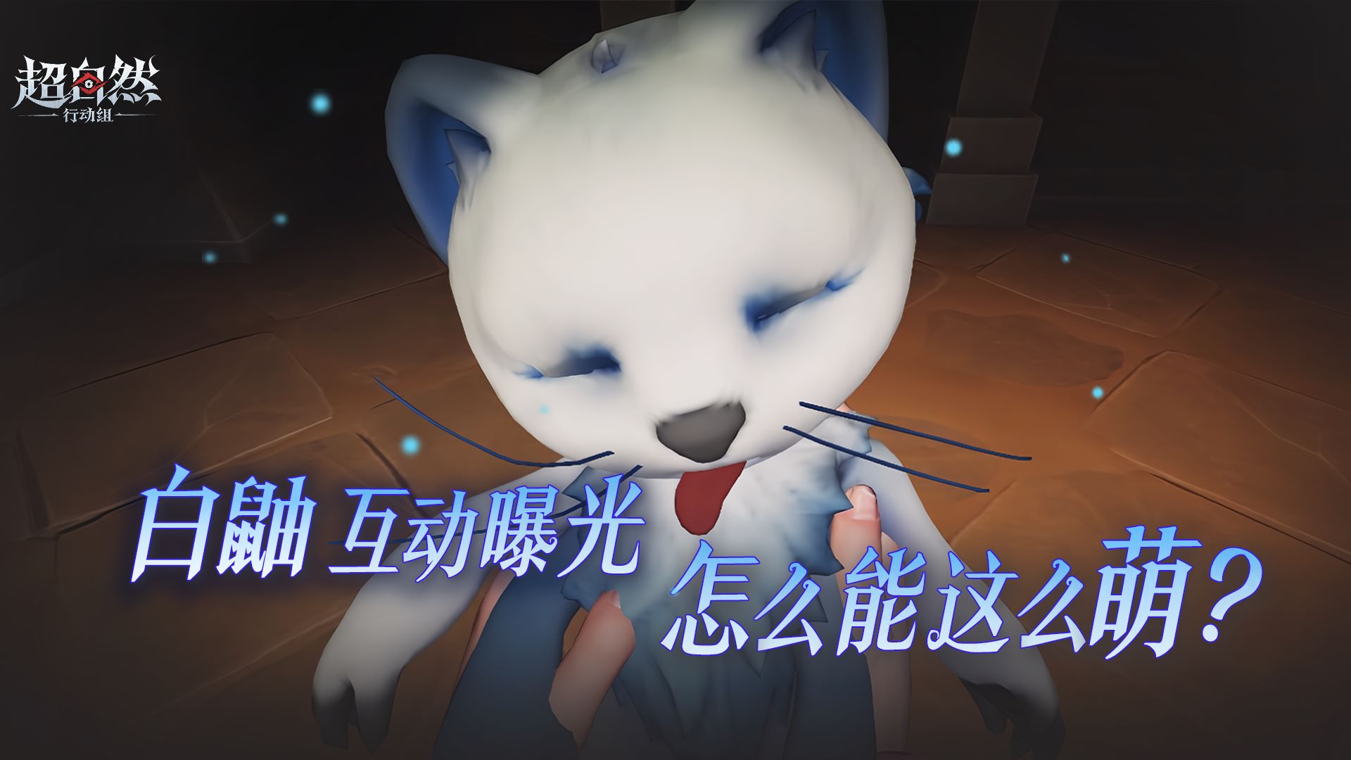 超萌【白鼬】互动动画曝光!
